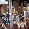 Templo del Tigre Tailandia 03